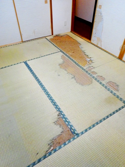 ペット専用畳 畳の事なら千葉県印西市の畳屋さん 米井畳店